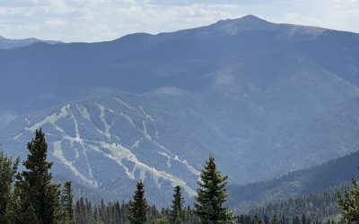 Frequently Asked Questions Summer Edition